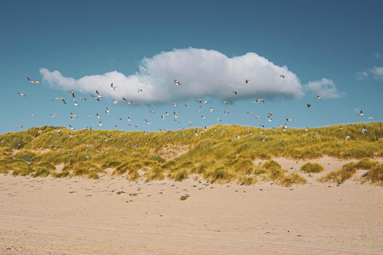 Appartement Duinzee Texel 德科赫 外观 照片