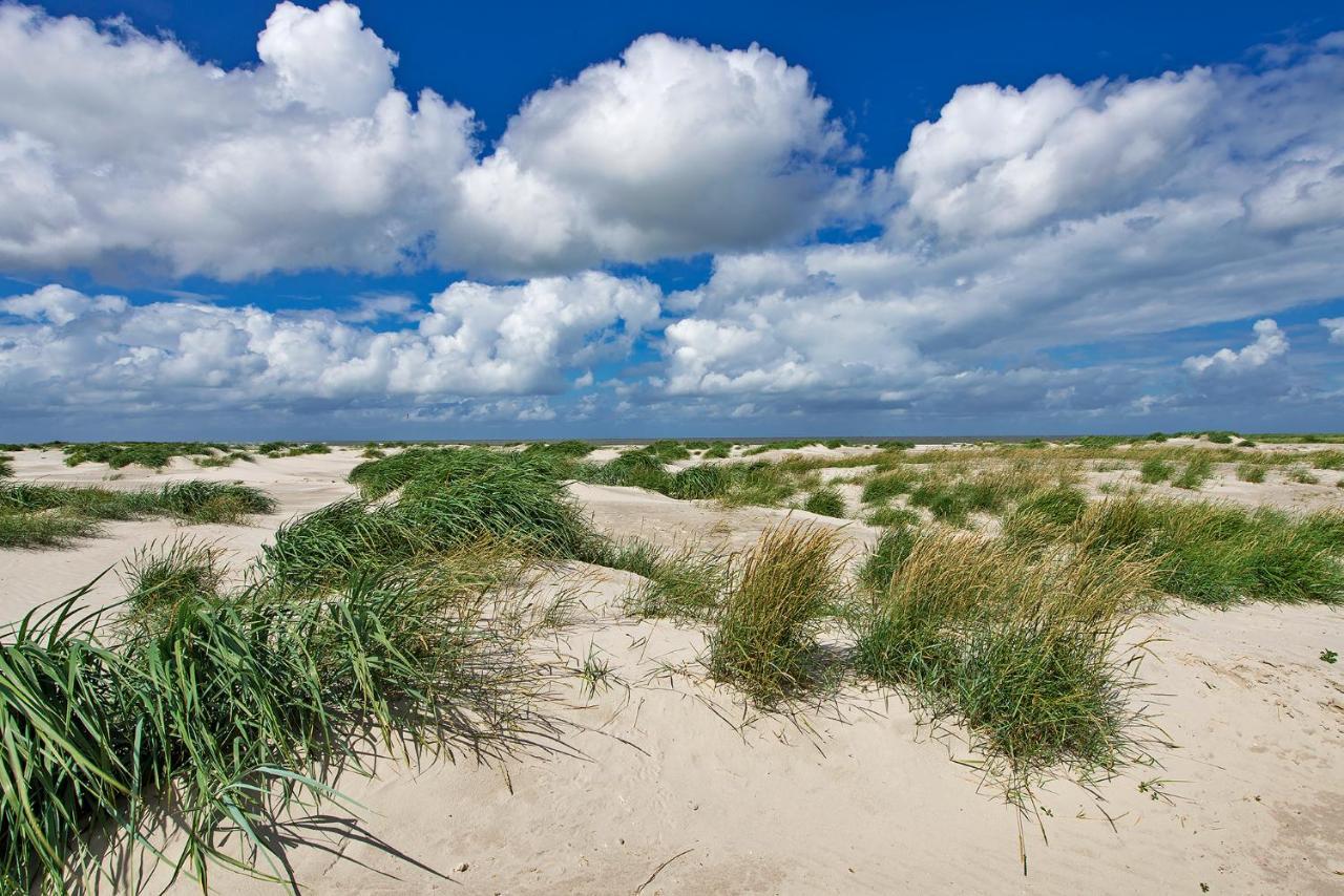 Appartement Duinzee Texel 德科赫 外观 照片