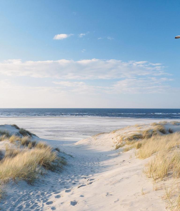 Appartement Duinzee Texel 德科赫 外观 照片